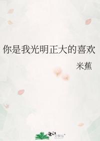 你是我光明正大的喜欢封面