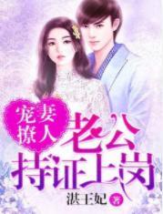 宠妻撩人:老公持证上岗封面