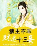 狼主不乖：财迷十三妾封面