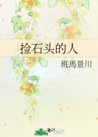 捡石头的人封面