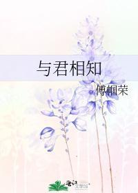 与君相知封面