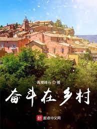 奋斗在乡村封面