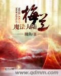 梅兰魔法大陆封面