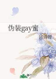 伪装gay蜜封面