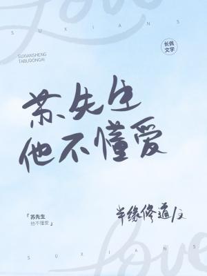 苏先生他不懂爱封面