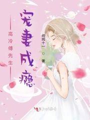 高冷傅先生宠妻成瘾封面