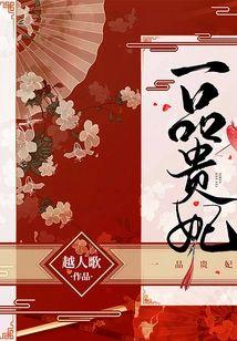 一品贵妃封面
