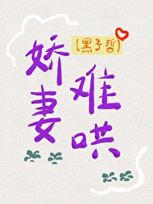 娇妻难哄封面