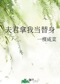 夫君拿我当替身封面