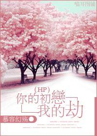 你的初恋我的劫封面