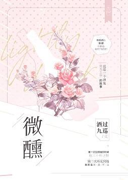 微醺封面