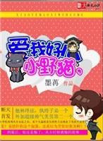 小野猫，爱我好么封面