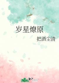 岁星燎原封面