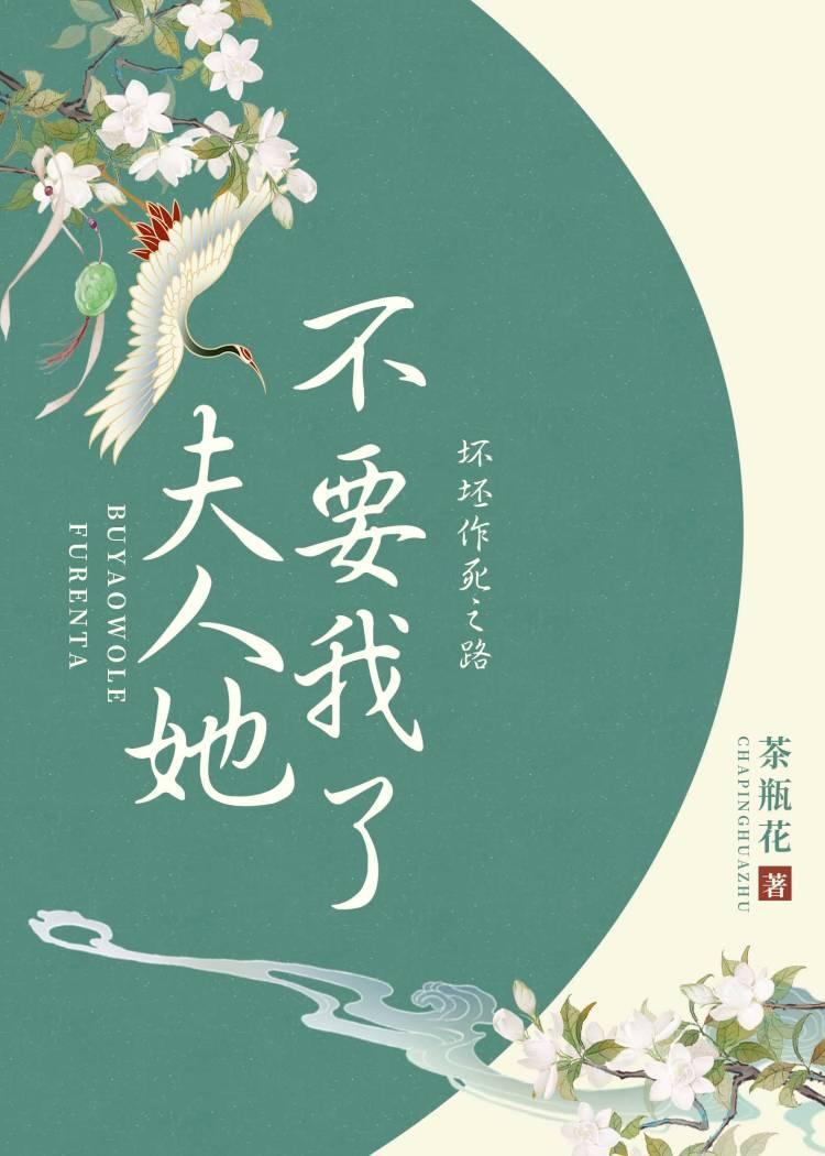 夫人她不要我了封面