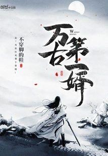 万古第一婿封面