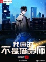 我真的不是猎命师封面