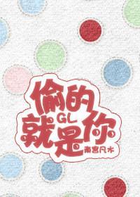 偷的就是你GL封面