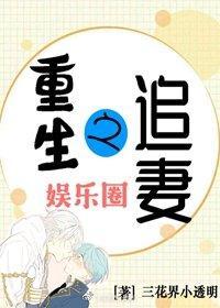 重生之追妻(娱乐圈)封面