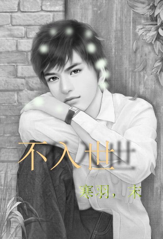 不入世封面