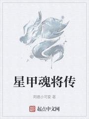 星甲魂将传封面