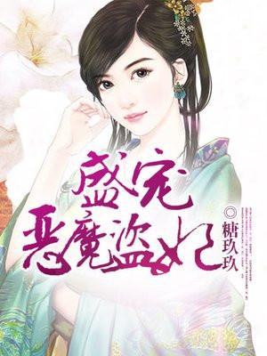 盛宠恶魔盗妃封面