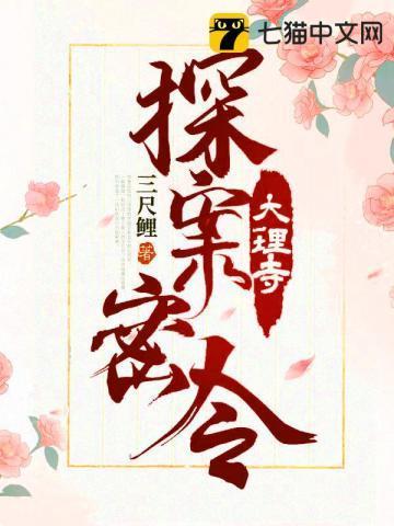 大理寺探案密令封面