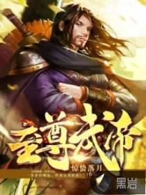 至尊武帝封面