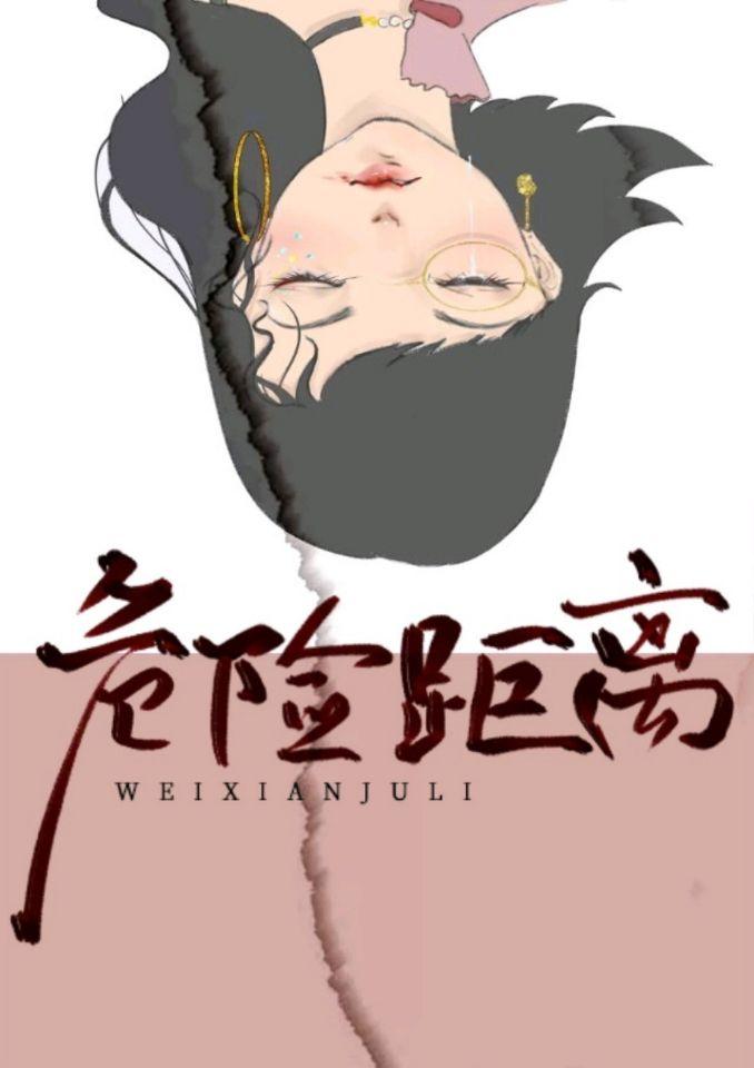 危险距离封面