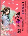 红颜乱之风雨三国封面