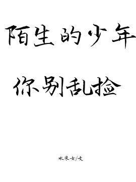 陌生的少年你别乱捡封面