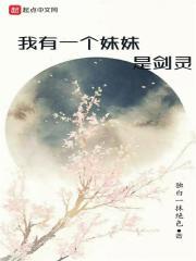 薄先生别闹封面