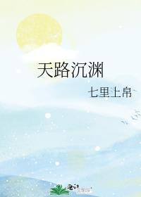 天路沈渊封面