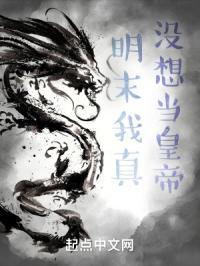 明末我真没想当皇帝封面