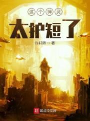 这个神灵太护短了封面