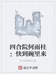 四合院何雨柱：快到碗里来封面