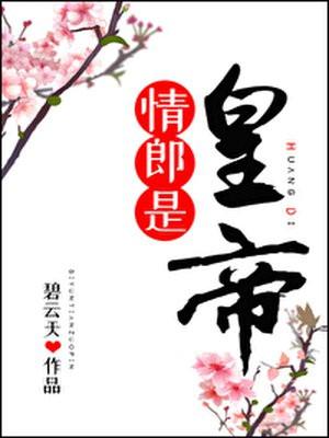 情郎是皇帝封面
