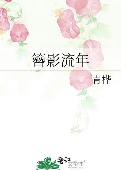 簪影流年封面