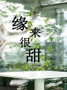 缘来很甜封面