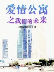 爱情公寓之我们的未来封面