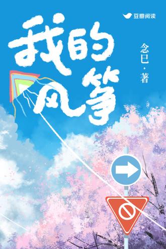 我的风筝封面