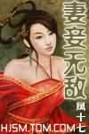 妻妾无敌封面