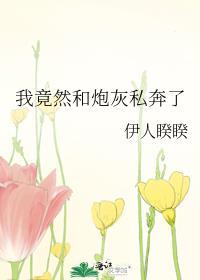 我竟然和炮灰私奔了封面