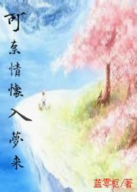 可奈情怀入梦来封面