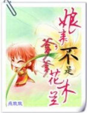 娘亲爹爹不是花木兰封面