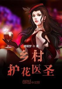 乡村护花医圣封面