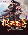 极天至尊封面