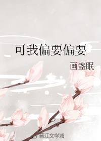 我偏要浪原著封面
