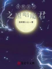 全职法师之黑暗魔君封面