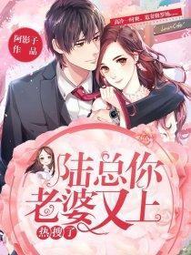 陆总,你老婆又上热搜了!封面