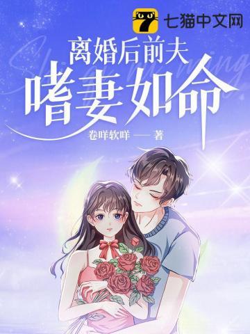 离婚后前夫追妻封面